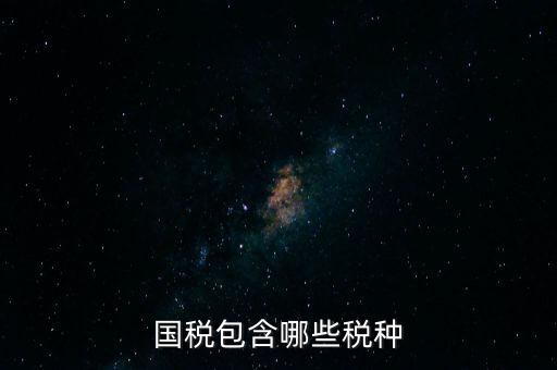 國稅發(fā)票有什么項目，國稅通用手工發(fā)票可以開什么項目經營范圍是道路普通貨物運輸