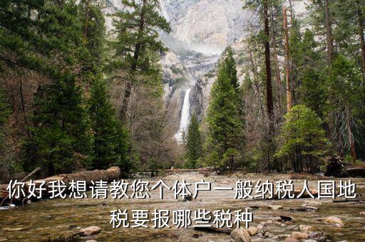 一般納稅人地稅交什么稅，地稅應(yīng)交哪些稅