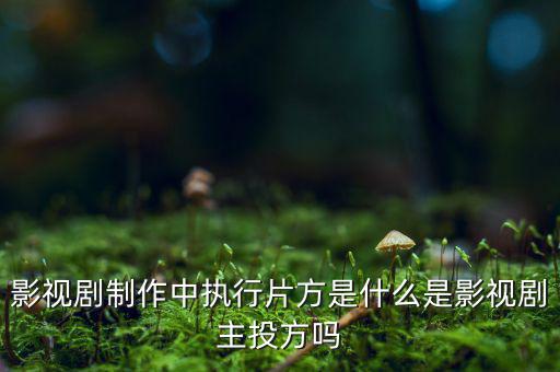 什么是分立主導(dǎo)方，股權(quán)分立是什么意思