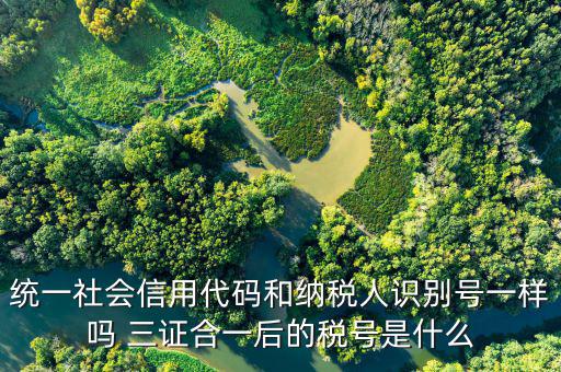 無證合一后稅號是什么意思，五證合一之后怎么查看稅號