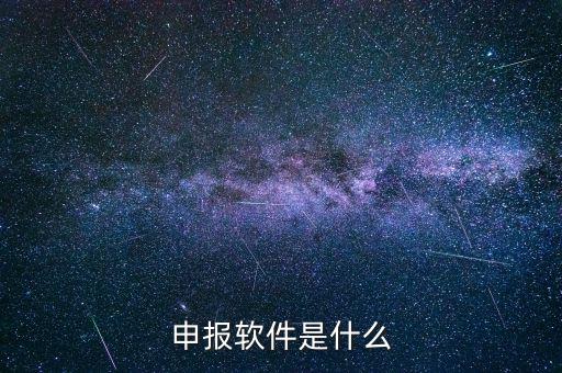 國稅申報(bào)軟件叫什么，申報(bào)軟件是什么