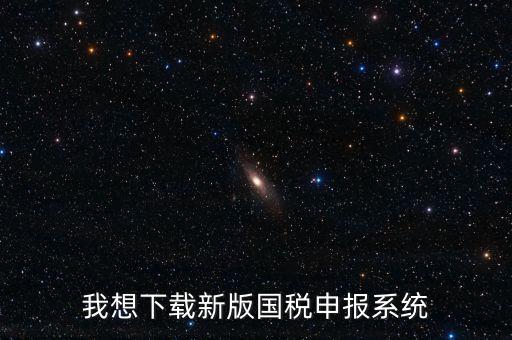 新疆國(guó)稅報(bào)稅什么系統(tǒng)下載，我想下載新版國(guó)稅申報(bào)系統(tǒng)