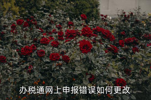 更改辦稅人什么網(wǎng)站，國(guó)稅變更財(cái)務(wù)人員在哪里變更稅控盤上可以更改嗎