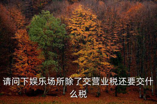 娛樂業(yè)交什么稅，請(qǐng)問下娛樂場(chǎng)所除了交營業(yè)稅還要交什么稅