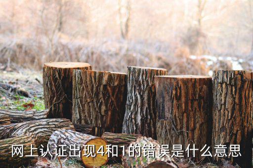認(rèn)證發(fā)票4是什么問題，認(rèn)證發(fā)票通常會碰到哪些問題