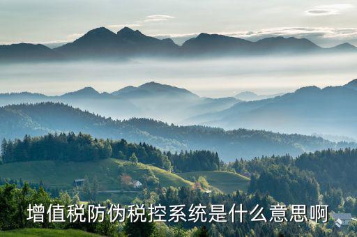 防偽稅控盤是什么，什么是防偽稅控系統(tǒng)金稅請(qǐng)解釋詳細(xì)明白點(diǎn)