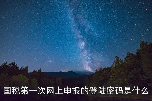 國稅登錄賬號密碼是什么意思，國稅第一次網(wǎng)上申報(bào)的登陸密碼是什么