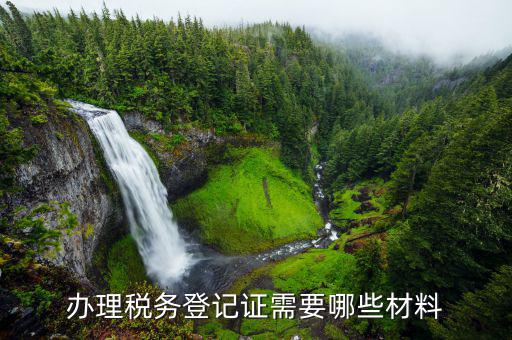 稅務(wù)登記什么資料，辦理稅務(wù)登記要交哪些材料