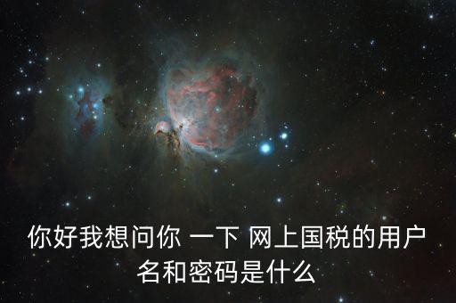 稅號(hào)和密碼是什么，國稅第一次網(wǎng)上申報(bào)的登陸密碼是什么
