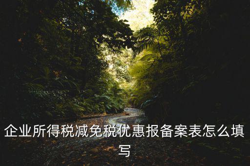 什么是稅收優(yōu)惠備案表，企業(yè)所得稅優(yōu)惠備案表填寫(xiě)急