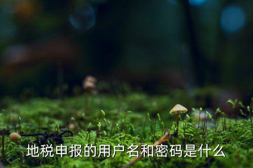杭州地稅用戶名是什么意思，地稅的用戶名是什么
