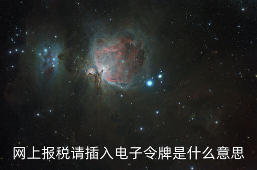 報(bào)稅數(shù)字證書口令是什么意思，網(wǎng)上報(bào)稅請插入電子令牌是什么意思