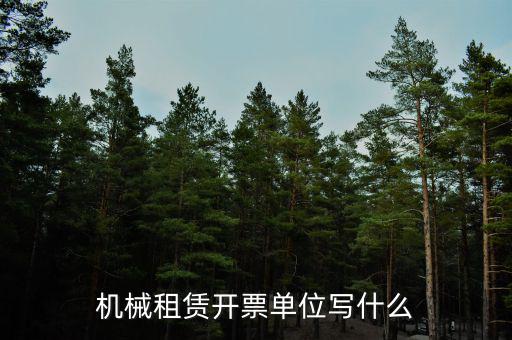 租賃費(fèi)開票單位填什么，機(jī)械租賃開票單位寫什么