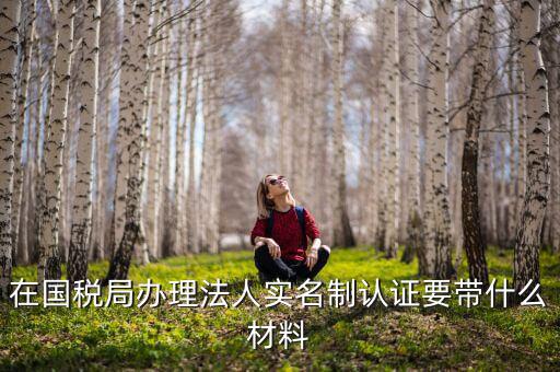 實名認(rèn)證稅務(wù)需要什么資料，在國稅局辦理法人實名制認(rèn)證要帶什么材料