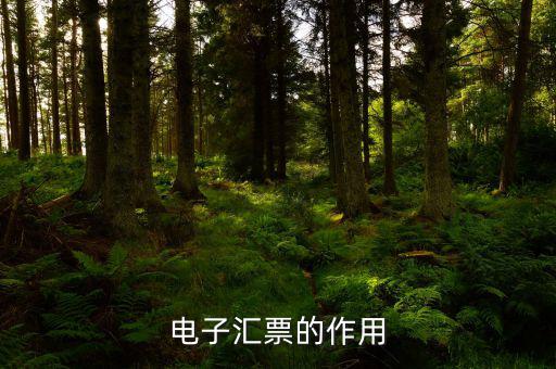 電子發(fā)票作用是什么，電子發(fā)票系統(tǒng)能做什么用