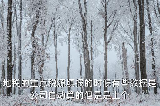 為什么重點(diǎn)稅源是上個(gè)月的數(shù)據(jù)，地稅的重點(diǎn)稅源填報(bào)的時(shí)候有些數(shù)據(jù)是公司自動算的但是是上個(gè)