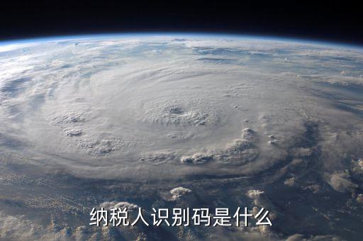 納銳人識(shí)別號(hào)是什么，納稅人識(shí)別碼是什么