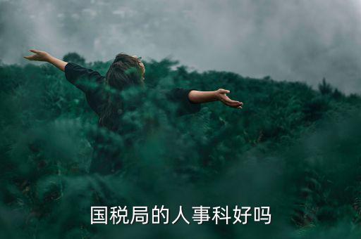 國稅人事科做什么，縣國稅局的人事歸哪里管基層分局的級別
