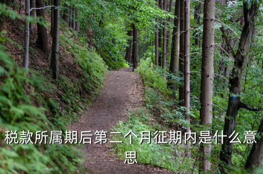 11月份征期是什么意思，稅款所屬期后第二個月征期內(nèi)是什么意思