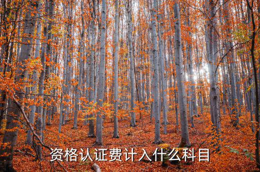 認(rèn)證服務(wù)費(fèi)什么，申請微信公眾賬號認(rèn)證服務(wù)費(fèi)什么意思