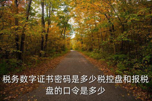 寧波國(guó)稅ca密碼是什么，寧波市電子稅務(wù)局登陸密碼