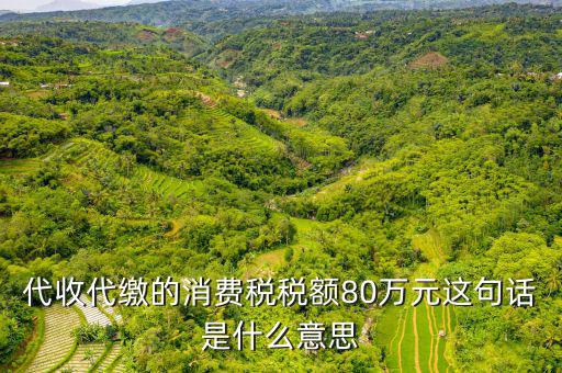 代扣代繳稅額是什么，代扣稅屬于什么稅