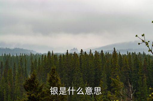 財(cái)稅庫銀是什么意思，銀是什么意思