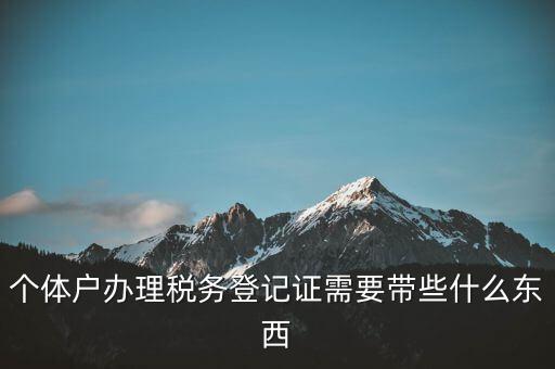 個體稅務(wù)登記證需要什么材料，個體戶辦理稅務(wù)登記證需要帶些什么東西