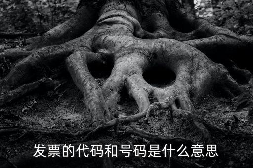 什么是打發(fā)票代碼，請教各位什么事發(fā)票代碼