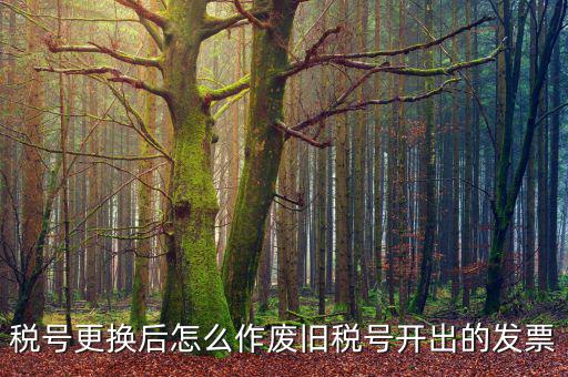 變稅號(hào)需要做什么，稅號(hào)更換后怎么作廢舊稅號(hào)開出的發(fā)票