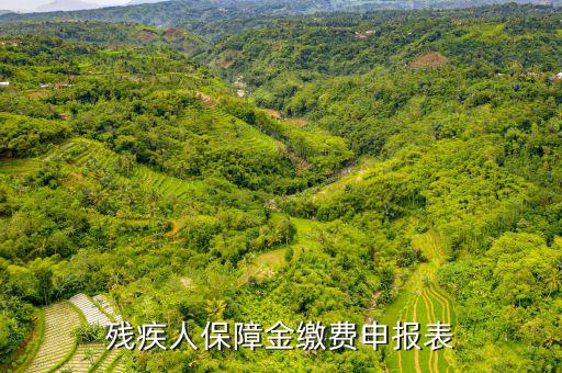 繳納殘疾人保障金 什么是104報表，什么叫104表