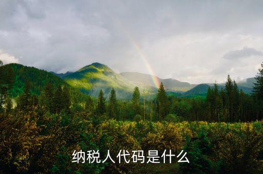 個人納稅人代碼是什么，納稅人代碼是什么