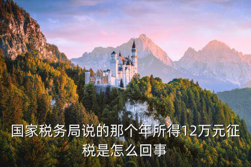 國(guó)家稅務(wù)局說的那個(gè)年所得12萬元征稅是怎么回事