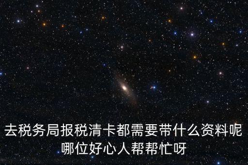 打稅務(wù)清單需要帶什么，我是個體商戶營業(yè)執(zhí)照掉了想去打印一份稅務(wù)清單需要帶些什么