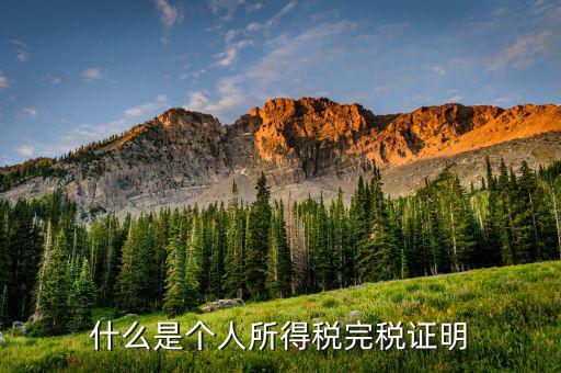 個人所得稅完稅是什么，招聘時說的稅后這個稅是指的什么