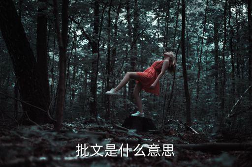 稅收個(gè)案批復(fù)是什么意思，批文是什么意思