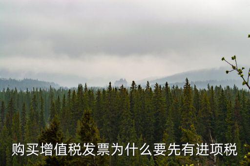 為什么要買進項票，購買增值稅發(fā)票為什么要先有進項稅
