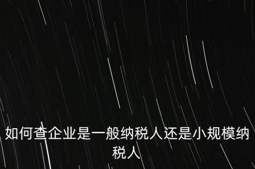 查詢公司什么納稅人，如何查企業(yè)是一般納稅人還是小規(guī)模納稅人
