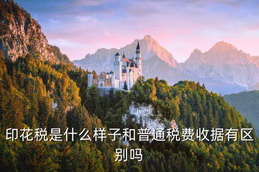 稅花什么樣，印花稅是什么樣子和普通稅費收據(jù)有區(qū)別嗎