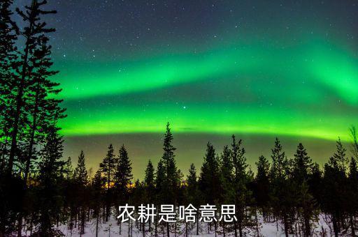 農(nóng)業(yè)機(jī)耕是什么意思，東機(jī)耕是什么
