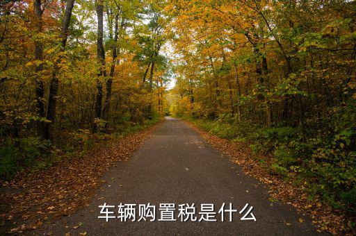 車購稅資金是什么，購置稅是什么