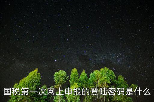 國(guó)稅登陸名和密碼是什么，國(guó)稅第一次網(wǎng)上申報(bào)的登陸密碼是什么