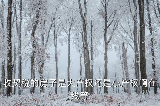 收契稅的房子是大產(chǎn)權(quán)還是小產(chǎn)權(quán)啊在線(xiàn)等