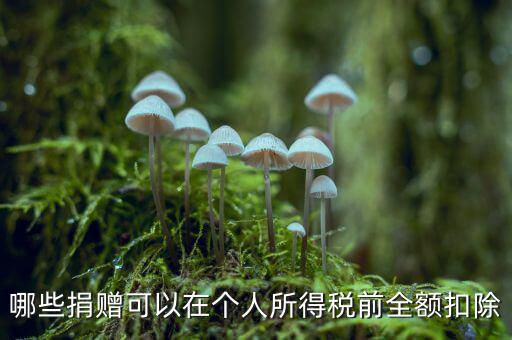 什么捐贈(zèng)可以稅前扣除，求助企業(yè)在所得稅前可以扣除的捐贈(zèng)支出