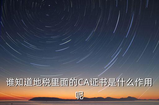 地稅安徽ca是什么意思，什么是國稅CA和地稅CA他是具體干什么用的