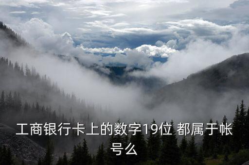 工行19位賬號應(yīng)用號是什么，請解釋工商銀行19位帳號的組成含義