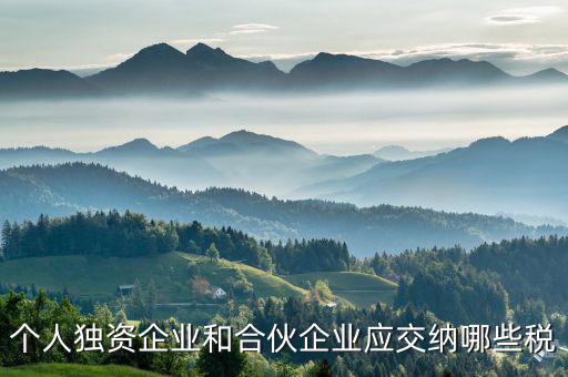 個人獨資和合伙企業(yè)交什么稅，個人獨資企業(yè)和合伙企業(yè)應(yīng)交納哪些稅