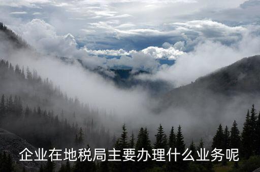 廣州地稅辦理什么業(yè)務(wù)，廣州稅務(wù)登記