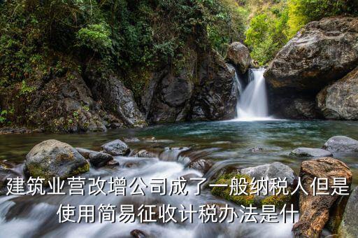 簡(jiǎn)易計(jì)稅法是什么，簡(jiǎn)易計(jì)稅法開具的是增值稅普通發(fā)票嗎