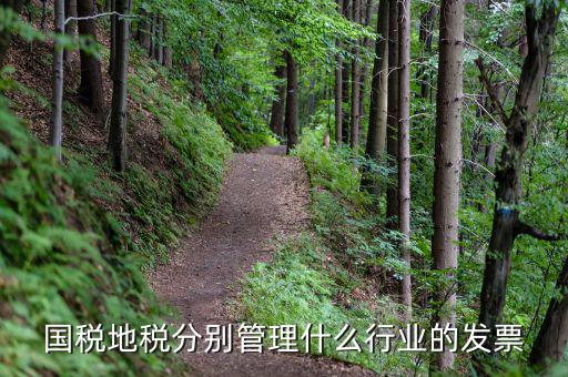 地稅涉及的行業(yè)都是什么，國(guó)稅地稅分別管理什么行業(yè)的發(fā)票